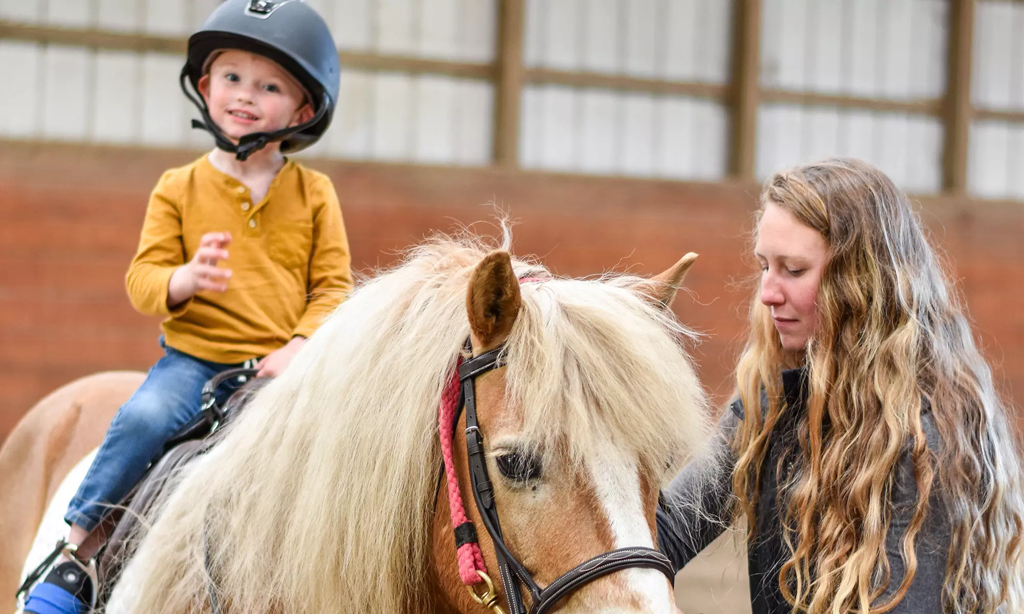 Up to 28% Off on Horse Back Riding at SNS Equine