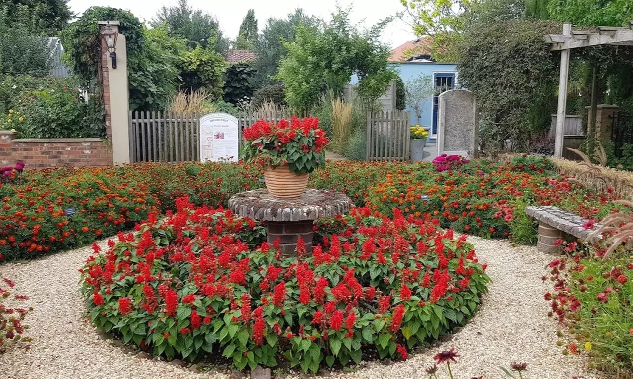 Enjoy Family fun with Entry Tickets for Adults and Childrens