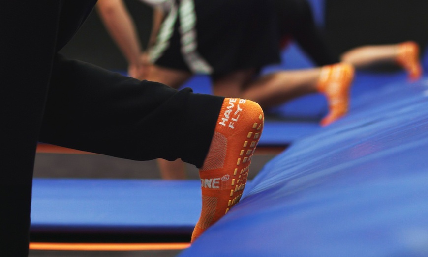 Image 11: Up to 30% Off Jump Passes at Sky Zone Irving