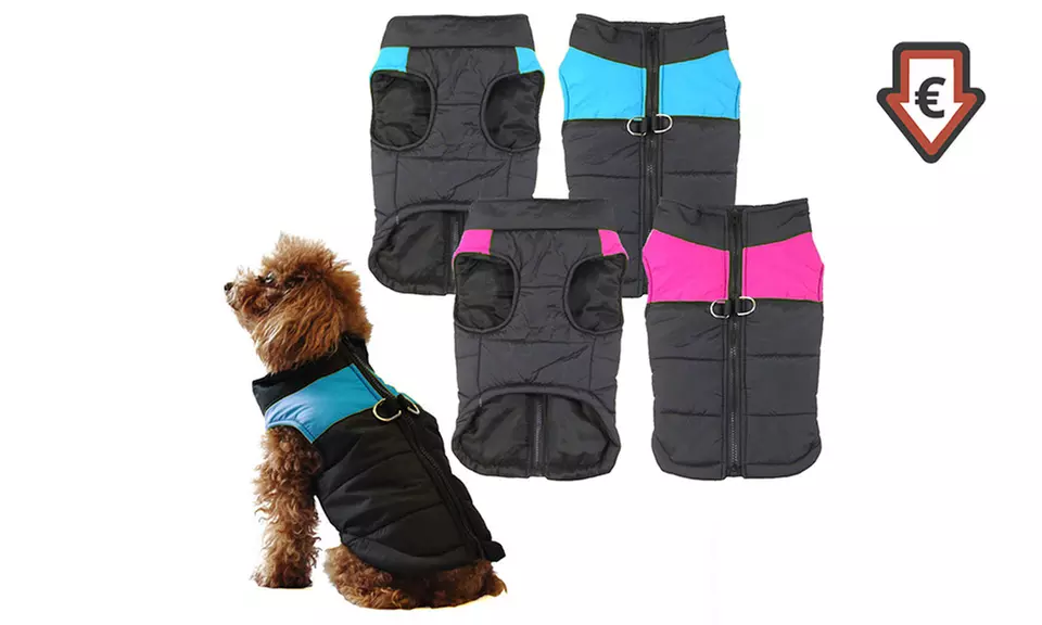 Bunty Hundejacke in Größe und Farbe nach Wahl - Primary Image