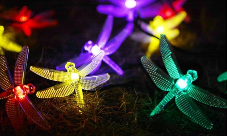 Image 10: Solar-Powered String Lights