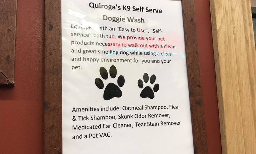 Image 3: Self Service Dog Wash for All Sizes with Easy-to-Use Stations