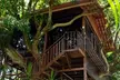 ✈ 4-Night Costa Rica Treehouse Getaway w/ Optional Air &Car. Price is per Person, Based on 2 Guests per Room. - Second Medium