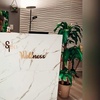 Image 2: Brazilian Wax w/ Optional Underarm Wax, 1 Bikini Wax or 3 Eyebrow Wax