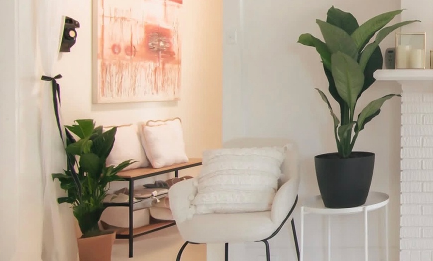 Image 3: Perfect Lashes: Full Set of Eyelash Extensions with Optional Touchup