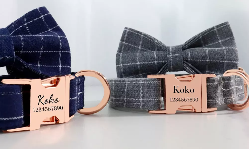 Grab paw-some Custom Pet Collars for your furry buddies