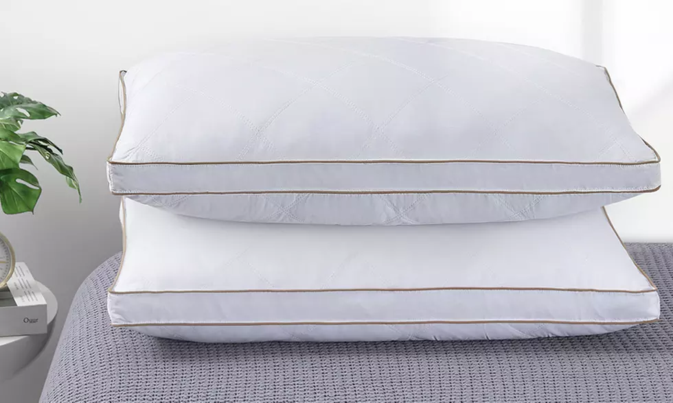 Peace Nest 2 Pack Quilted Goose Feather Down Pillow with Cotton Fabric