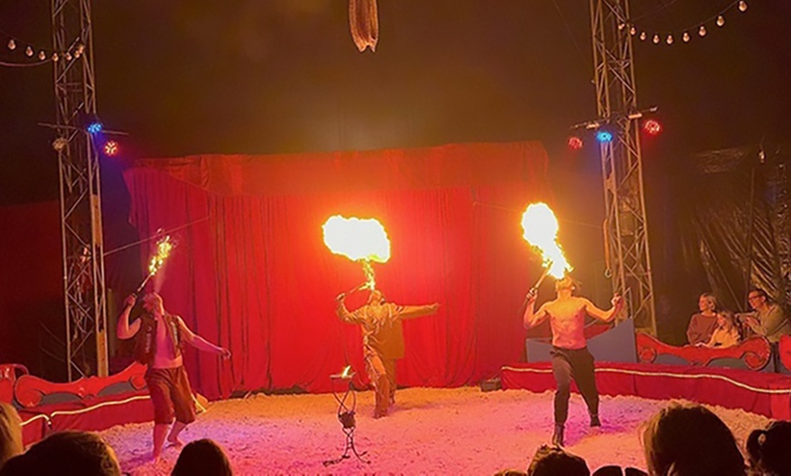 Image 4: Dancing with Horses 2025: ticket voor 23 of 24 augustus in Wassenaar