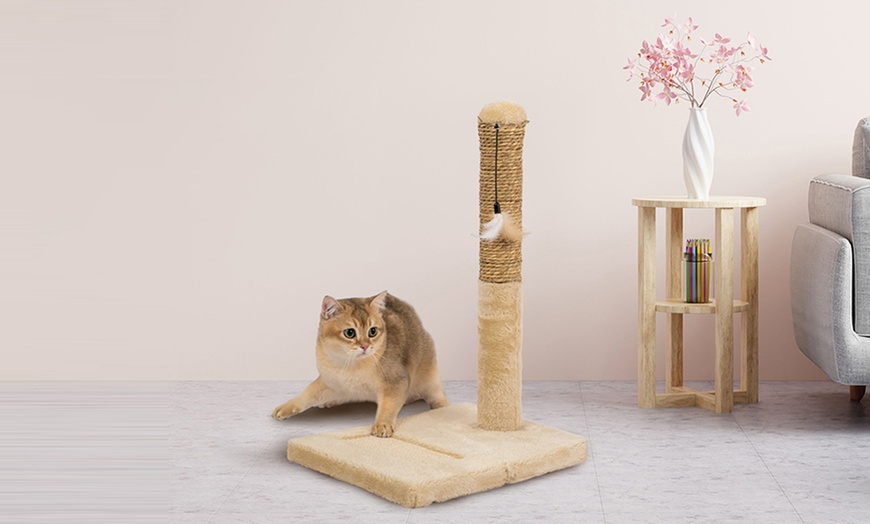 Image 53: Griffoir pour chat