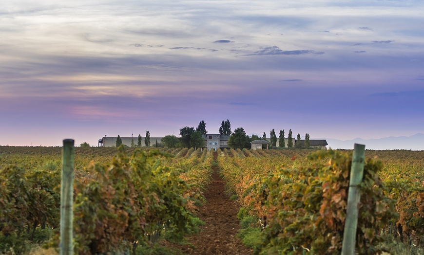 Image 3: Visita guiada a bodega y maridaje