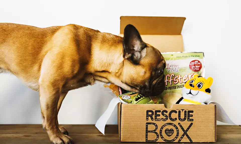 $15 Off a Dog & Cat Subscription Box from RescueBox - Primary Image