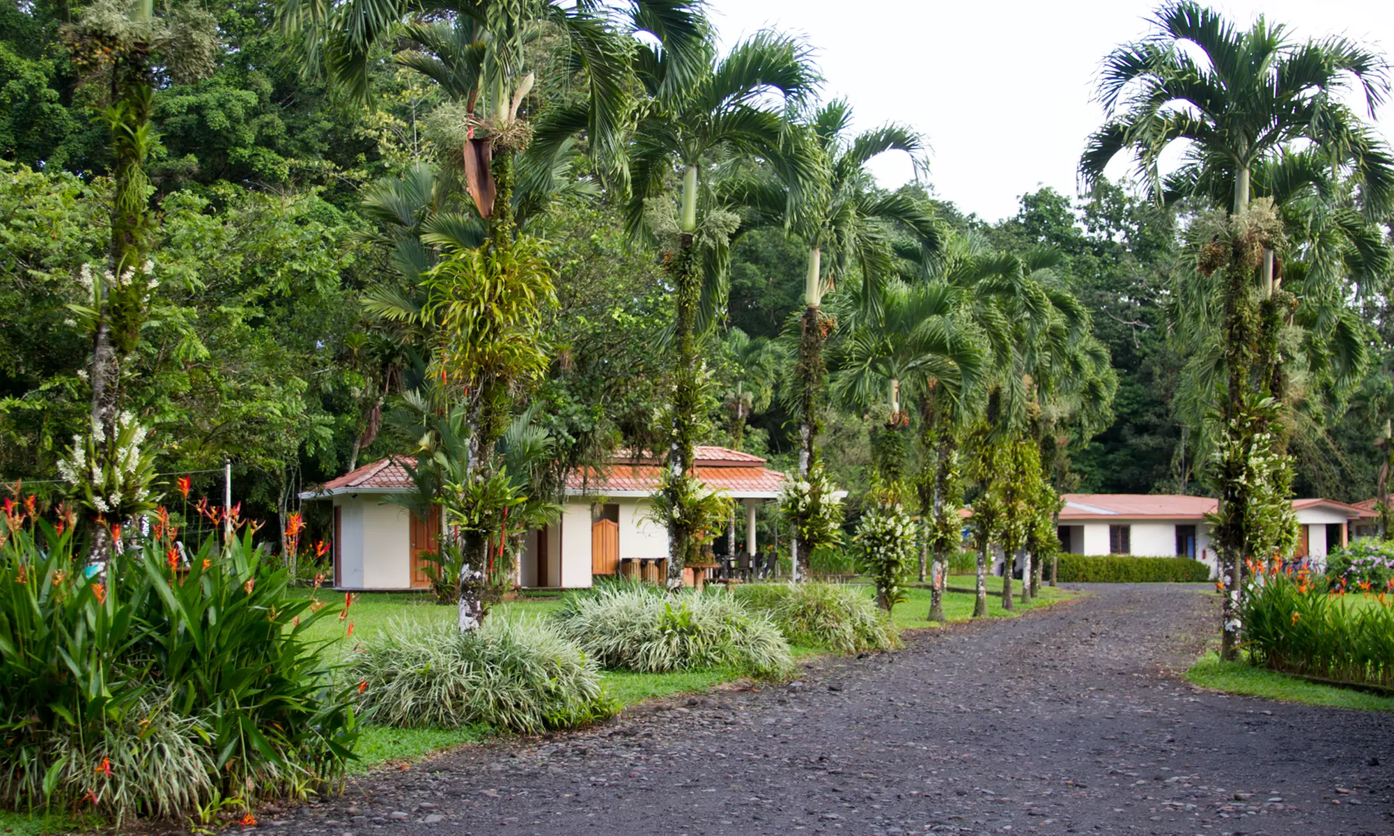 ✈ 6-Nt Costa Rica Volcano & Beach Vacation w/ Optional Air & Car