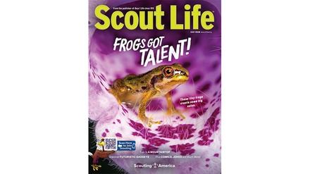 Two-Year subscription to Scout Life - Blue Dolphin Magazines