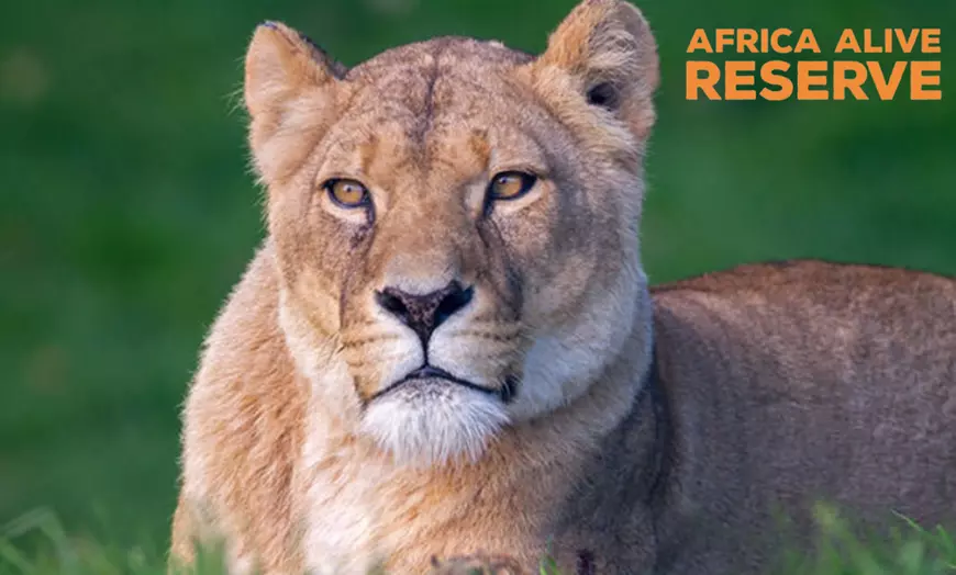 Image 1: Africa Alive Entry Tickets