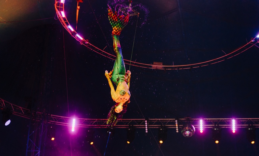 Image 4: Ticket für den "Waterland Zirkus"