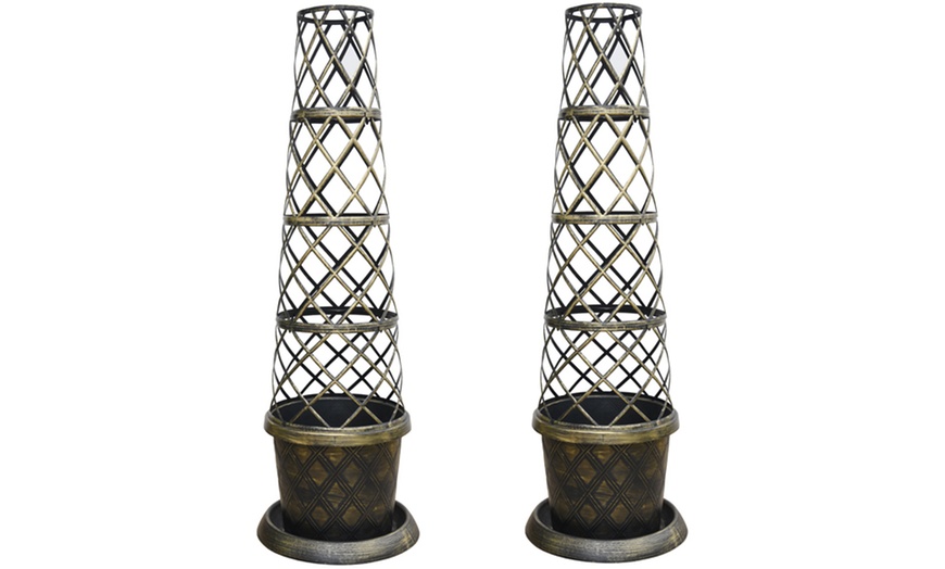 Image 8: Clematis 'Winter Beauty' - 1 or 2 Plants with Optional Tower Pots