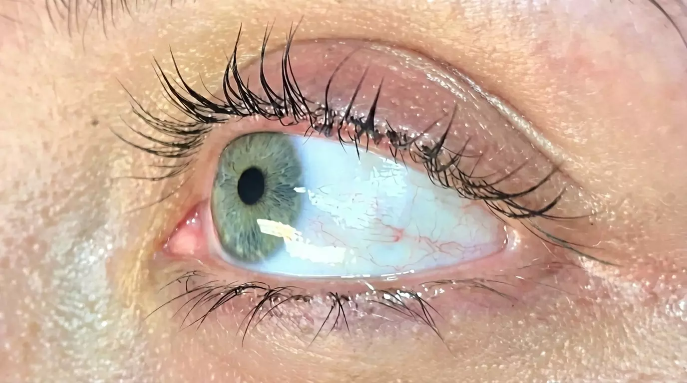One Eyelash Lift Treatment or Lash Perm with Tint