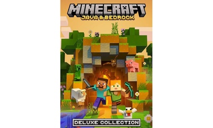 Minecraft : Java & Bedrock Edition pour PC, édition standard - Technivision BE