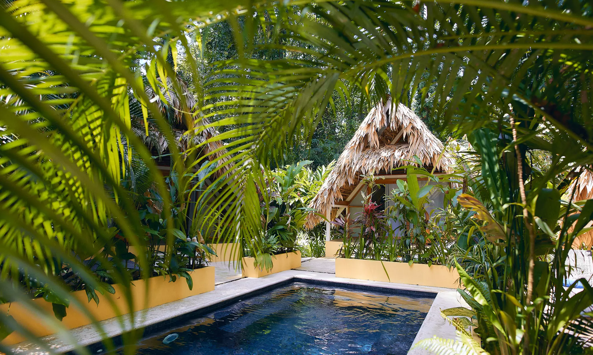 ✈ 6-Night Costa Rica & Panama Trip from Travel by Jen