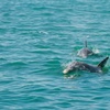 Image 4: Key West Sushi & Sunset Cruise – Iconic Waterfront Views