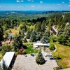 Image 5: Experience Wine Tasting for 1, 2, or 4 People w/ Charcuterie Board