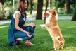 Durable Puppy Feeder Chew Toys Food Dispensing Toys for Teeth Cleaning IQ Treat - Second Medium