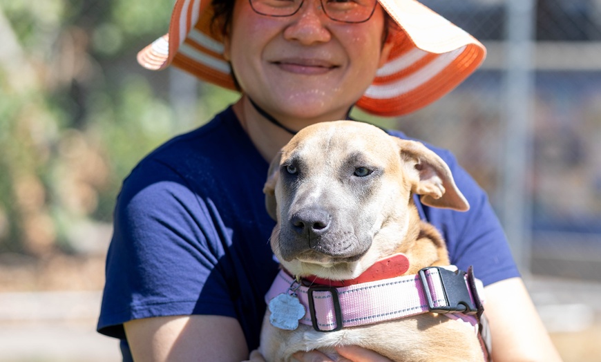 Image 10: Experience Vegan Food Festival -  Express Tickets for 1, 2, or 3
