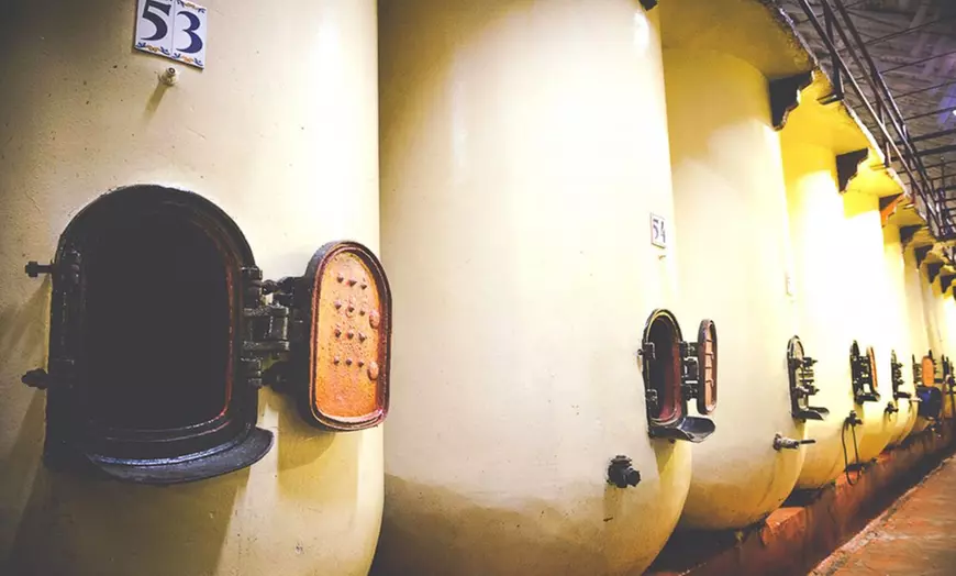 Image 14: Visita a bodega con cata de 3 vinos y aperitivos para hasta 6 personas