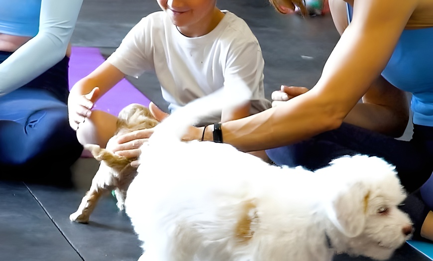 Image 3: Relax and Play with 1, 5 or 10 60-Minute Puppy Yoga Classes