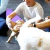 Image 3: Relax and Play with 1, 5 or 10 60-Minute Puppy Yoga Classes