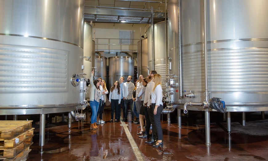 Image 20: Visita guiada a bodega con cata de 4 vinos, 2 AOVE y embutidos