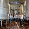 Image 20: Visita guiada a bodega con cata de 4 vinos, 2 AOVE y embutidos