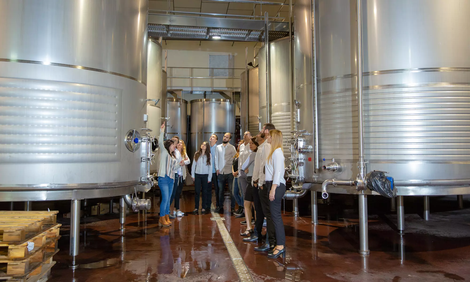 Visita guiada a bodega con cata de 4 vinos, 2 AOVE y embutidos