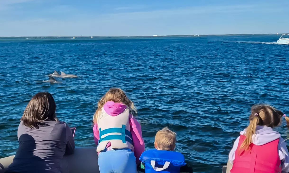 2 or 4-Hour Dolphin and Crab Island Cruise Or 2-Hour Sunset Cruise