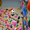 Image 2: Indoor Climbing & Bouldering Adventure