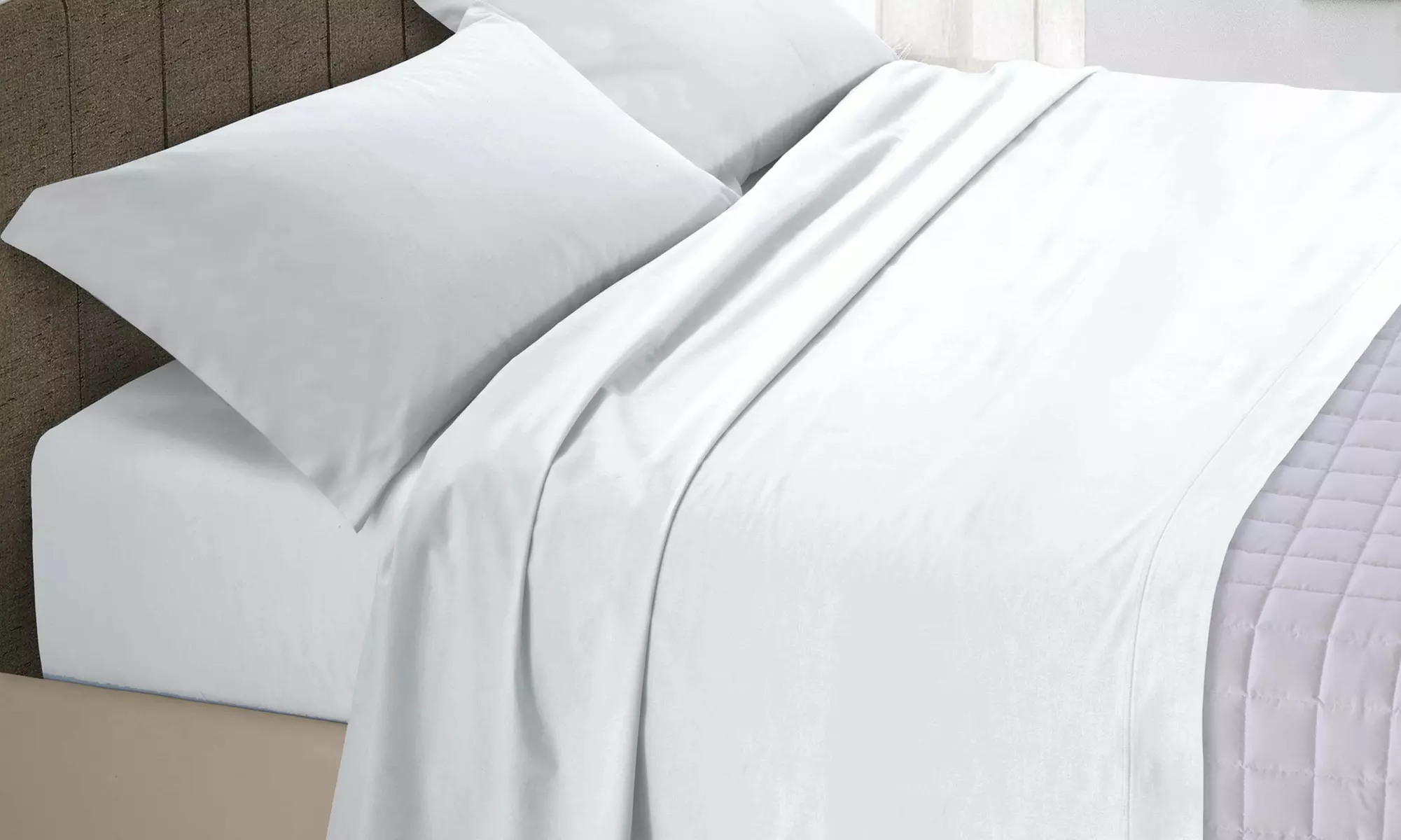 Lenzuolo sopra Max Color