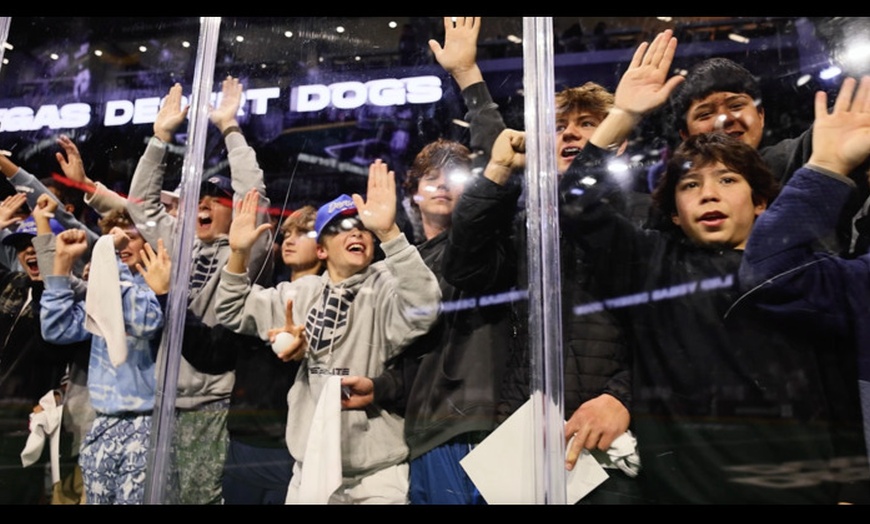 Image 5: Las Vegas Desert Dogs - Up to 24% Off