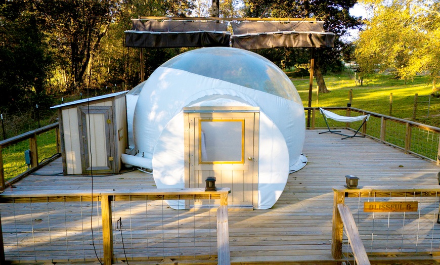 Image 7: Luxury Glamping Domes w/ Pool & Hot Tub, Just Outside Houston