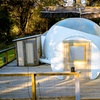 Image 7: Luxury Glamping Domes w/ Pool & Hot Tub, Just Outside Houston