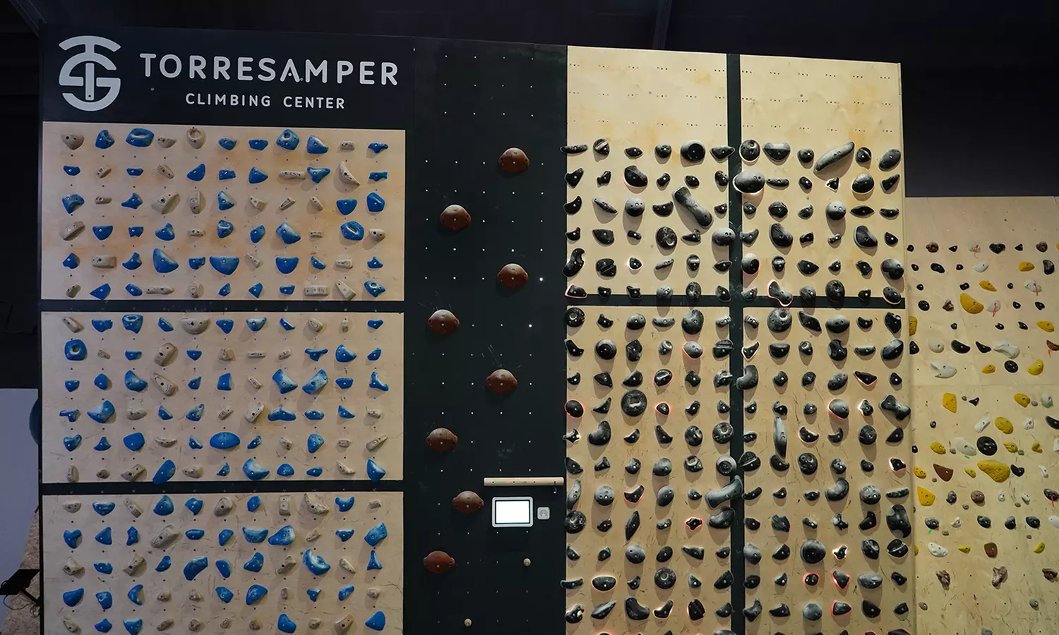 Experiencia de escalada: entrada individual o para adultos y niños