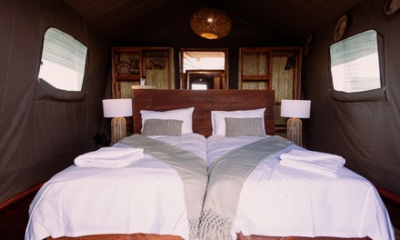 Shared room (1 pax) - 8-Day Yoga & Safari Retreat