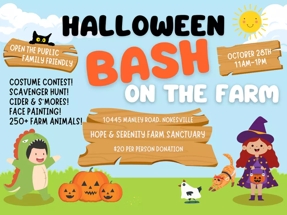 Admission to Halloween Bash or Annual Pumpkin Smash or 2nd Annual Winter Fest (Up to 25% Off) - Primary Image