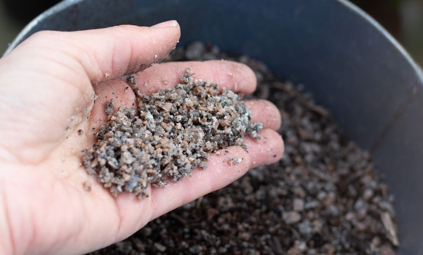 Image 1: Horticultural Potting Grit 20kg Bag
