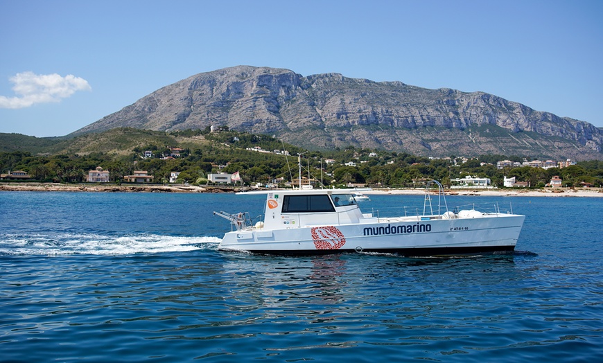 Image 2: Recorre Denia: tour en barco a la Cova Tallada para 2, 4 u 8 personas