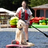 Image 1: Single Adult, Tandem Kayak or Stand Up Paddle Board for 3 Hours 