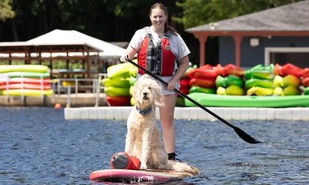 Single Kayak for Three Hours - Regatta Point Community Sailing