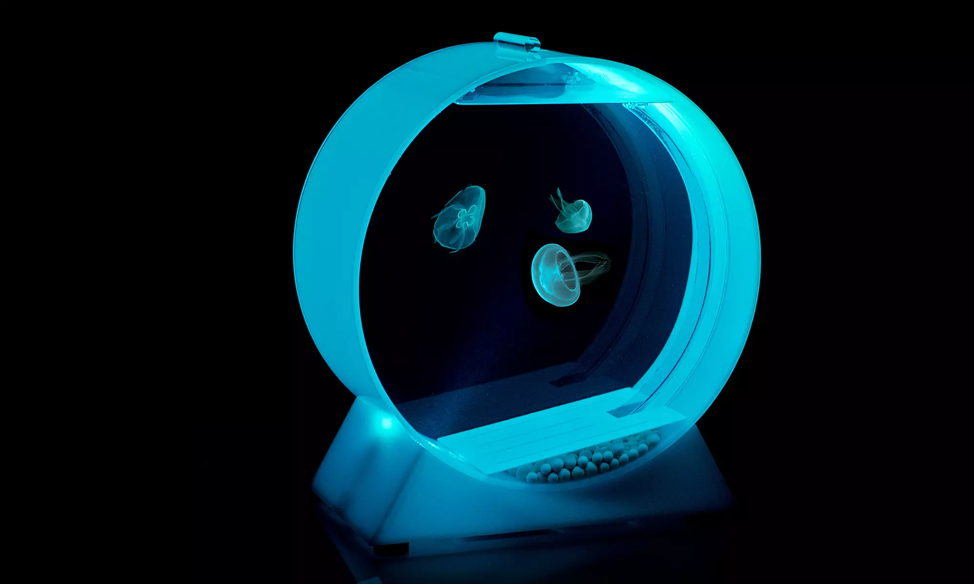 Desktop Jellyfish Kit with Tank, Three Jellyfish, and Food - Primary Image