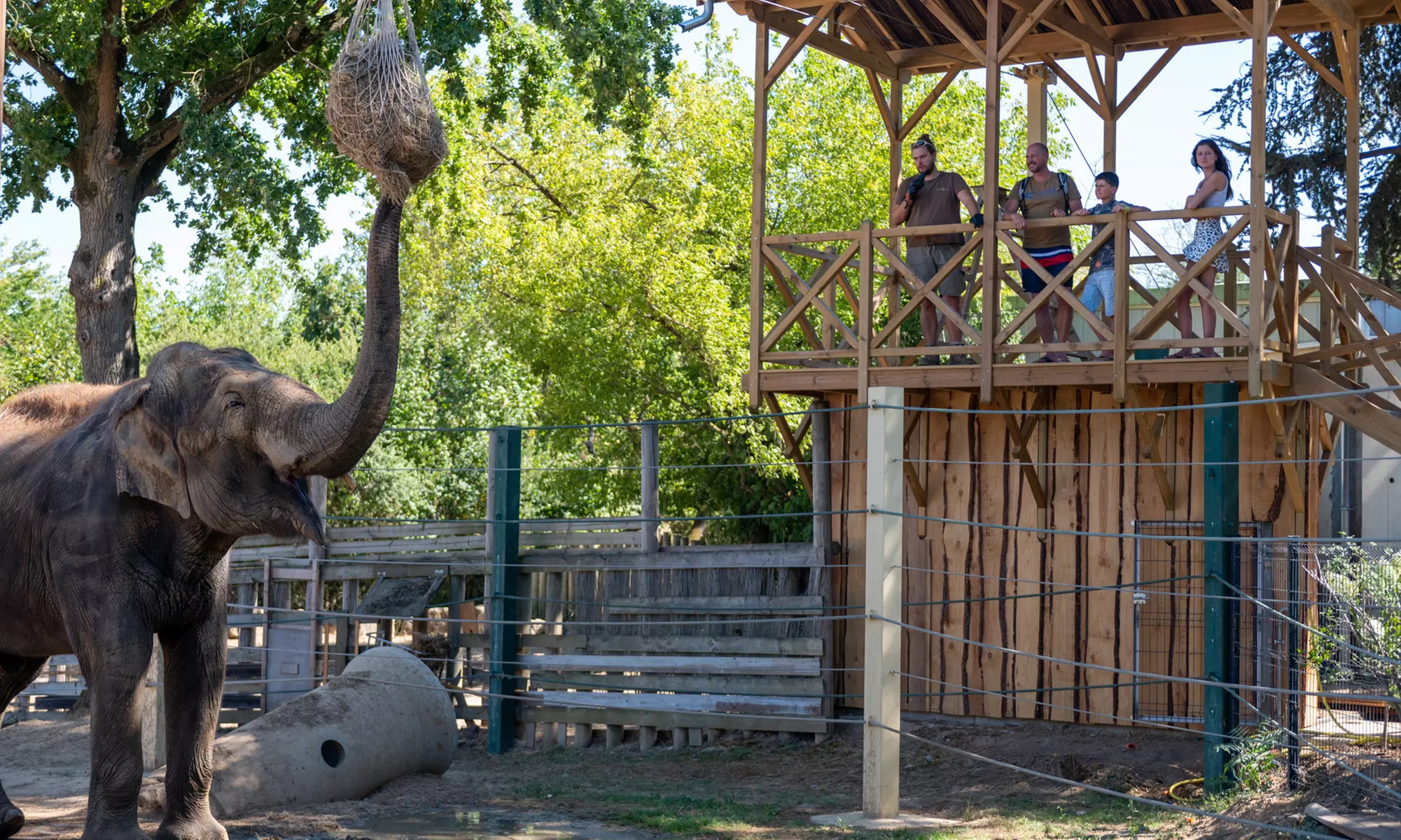 Vivre les missions d’un soigneur au Touroparc Zoo