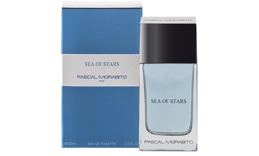 Image 10: Pascal Morabito herengeur