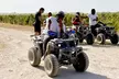 Navigate Miami's Trails With Adrenaline Atv LLc Guided Tours, Save Up to 66% - Second Medium
